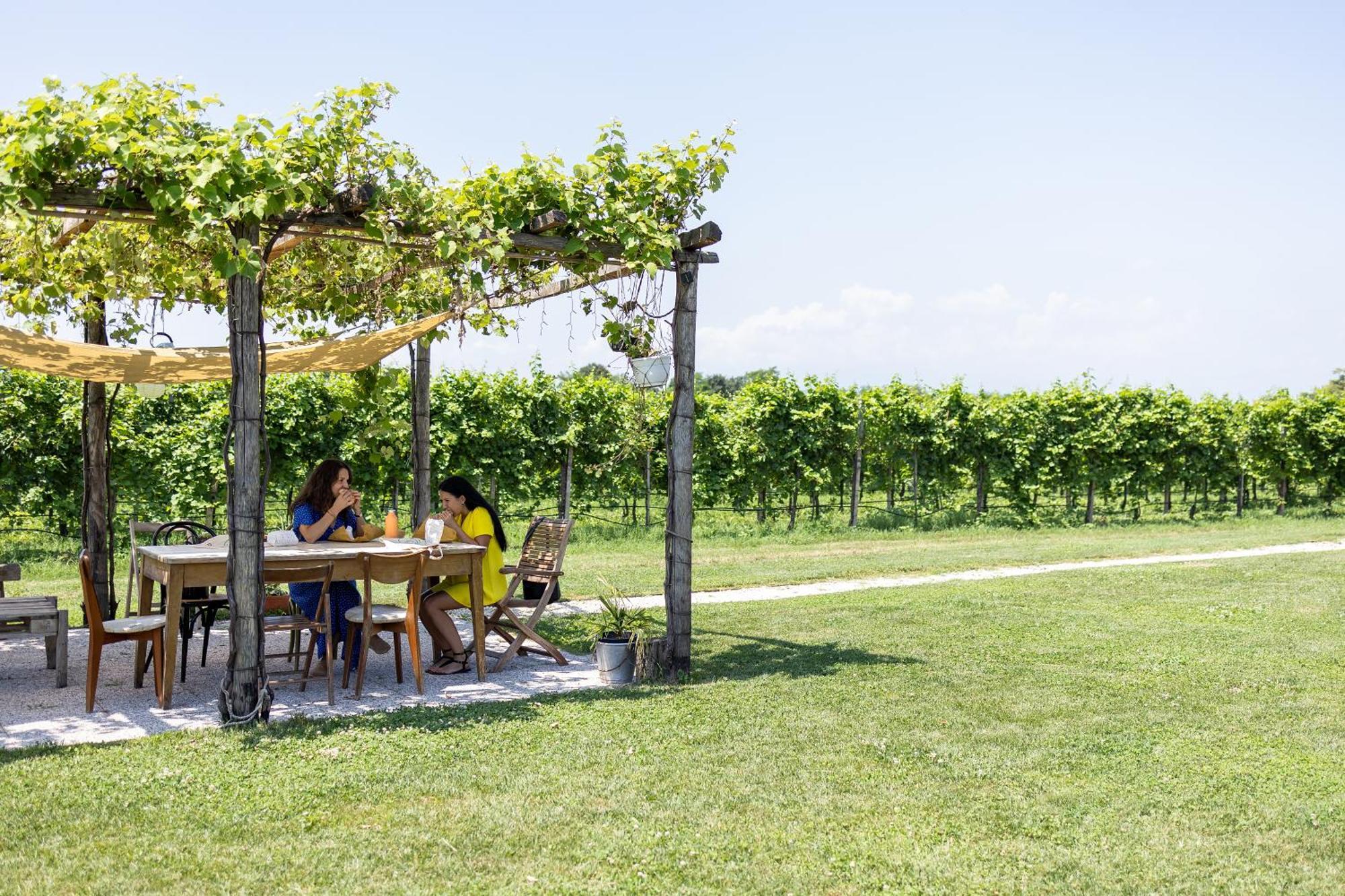 Agriturismo Da Zeffi Spresiano Εξωτερικό φωτογραφία